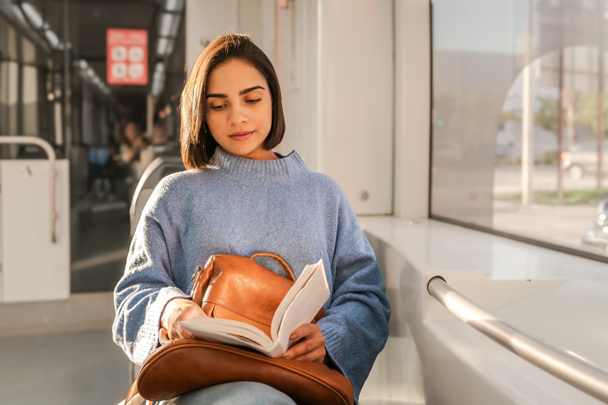 Passenger reading beside the train window